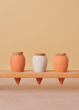 Load image into Gallery viewer, Water Feeder Olla 3 Set