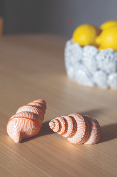 Salt & Pepper Shaker Shell