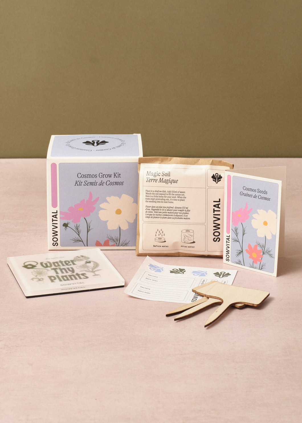 Cosmos Seed Grow Kit