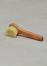 Load image into Gallery viewer, Mushroom Brush
