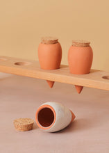 Load image into Gallery viewer, Water Feeder Olla 3 Set
