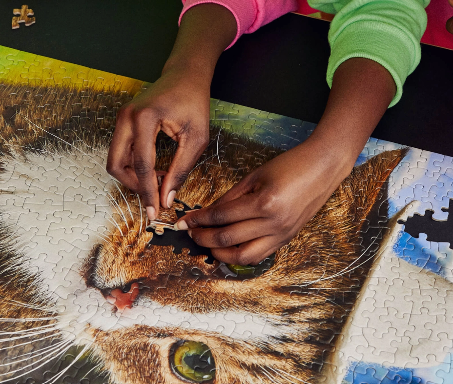 Howdy Paw-tner Puzzle