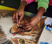 Load image into Gallery viewer, Howdy Paw-tner Puzzle
