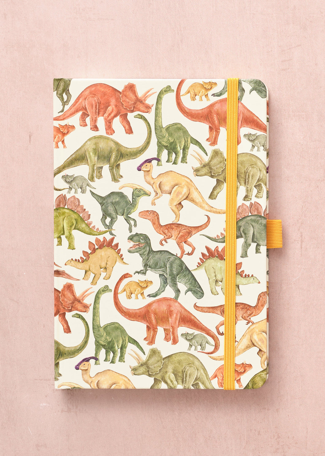 Dinosaurs Notebook