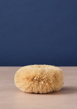 Load image into Gallery viewer, Dish Scrub Coconut Fibre
