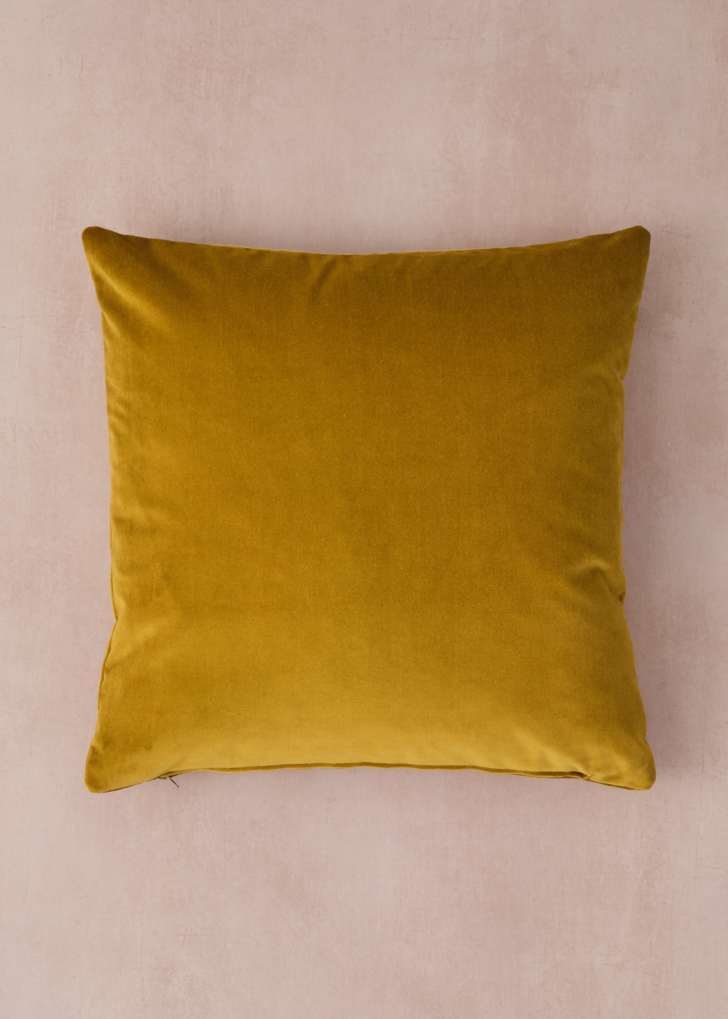 Green Ginger Velvet Cushion