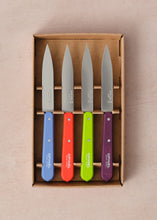 Load image into Gallery viewer, &#39;Pop&#39; Kitchen Knife Set
