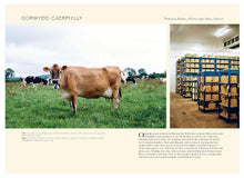 Load image into Gallery viewer, Book Portrait of British Cheese

