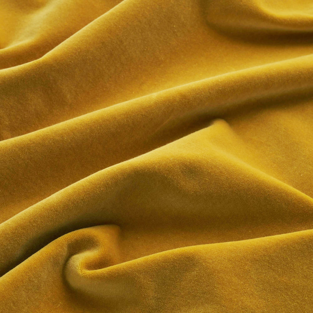 Gold House Velvet
