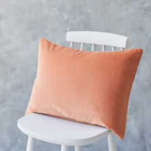 Load image into Gallery viewer, Rectangle Terracotta Velvet Cushion

