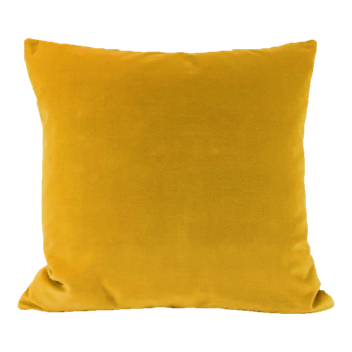 Gold Leaf Velvet Cushion