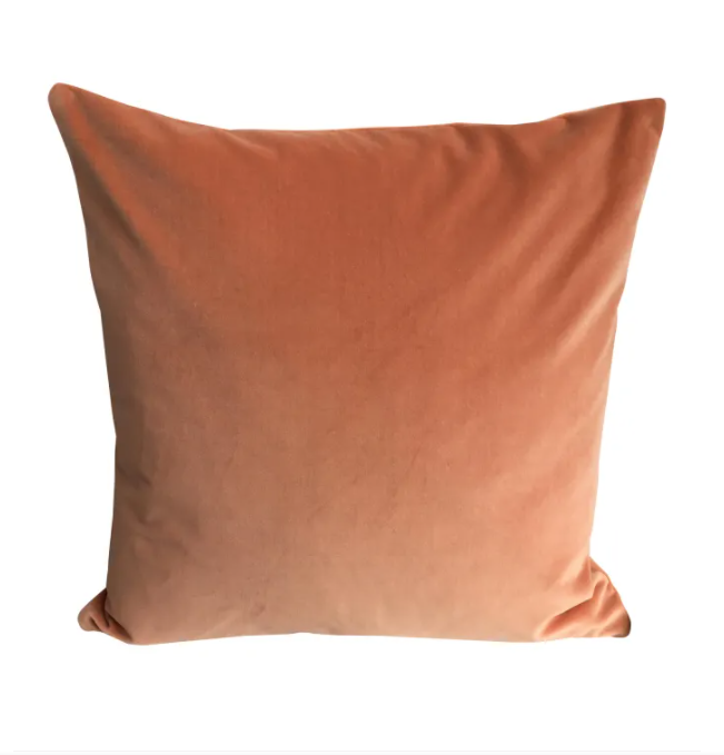 Terracotta velvet deals cushions