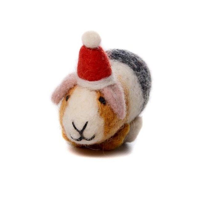 Guinea Pig With Hat