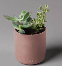 Load image into Gallery viewer, Candle Moroccan Rose
